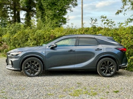 2025 Lexus RX - photo 8