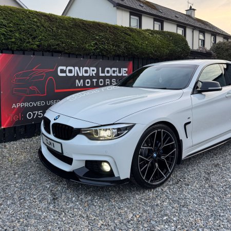 2019 BMW 4-Series - photo 22
