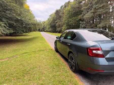 2018 Skoda Octavia - photo 42