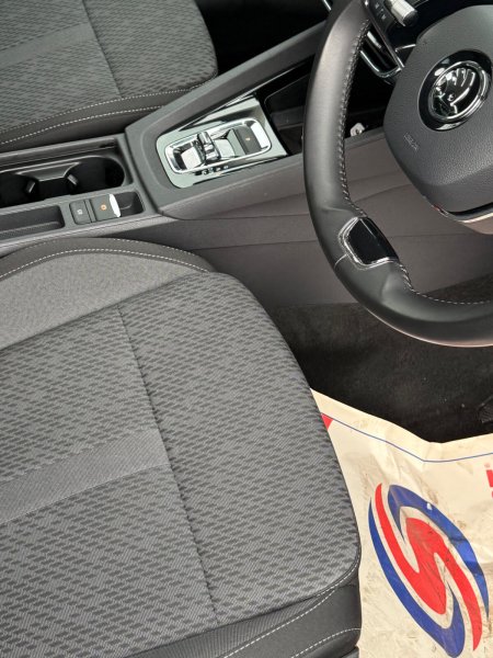 2021 Skoda Octavia - photo 3