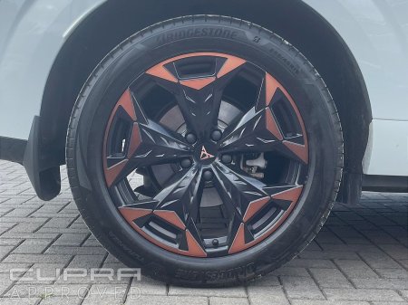 2026 Cupra Terramar - photo 6
