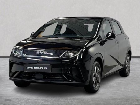 2025 BYD DOLPHIN - photo 20