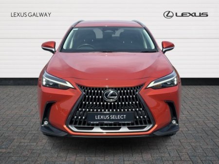 2022 Lexus NX - photo 4