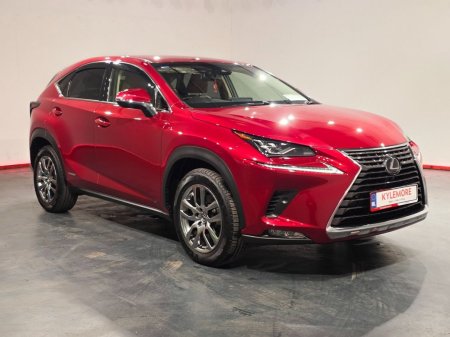 2019 Lexus NX - photo 9