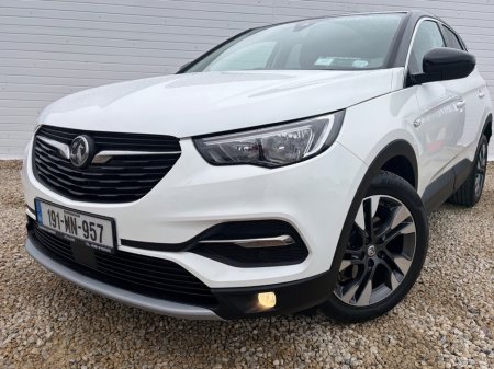 2019 Vauxhall Grandland X - photo 20