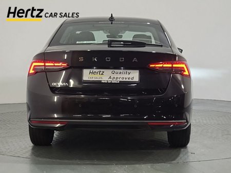 2025 Skoda Octavia - photo 4