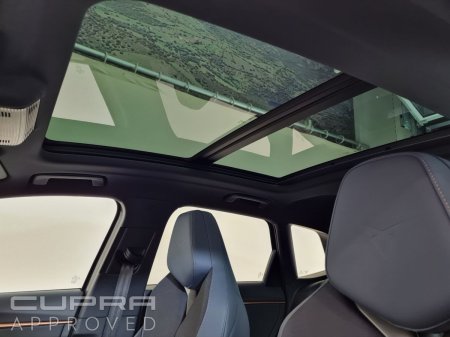 2026 Cupra Terramar - photo 15