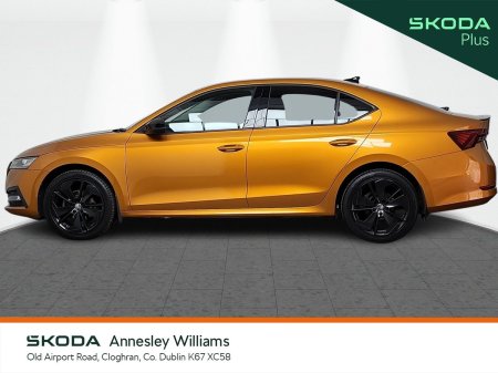 2023 Skoda Octavia - photo 6