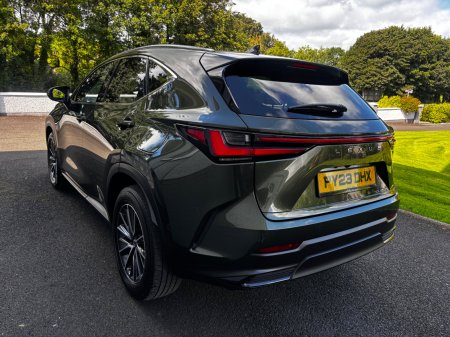 2023 Lexus NX - photo 4