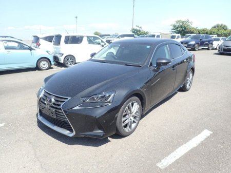 2019 Lexus IS - photo 2