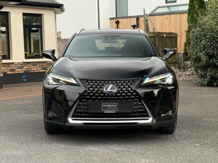 2020 Lexus UX - photo 2