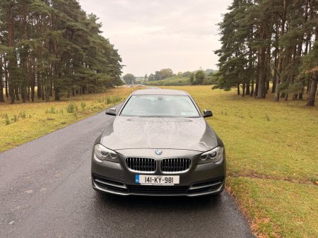 2014 BMW 5-Series - photo 2