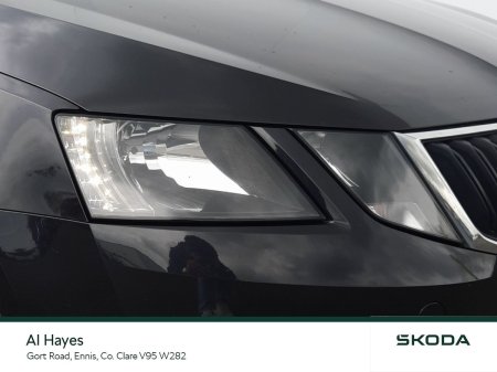 2019 Skoda Octavia - photo 14