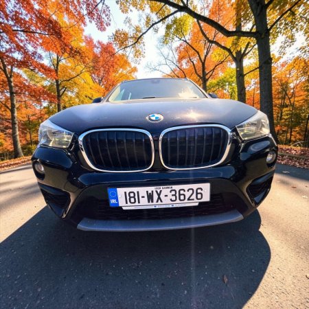 2018 BMW X1 - photo 19