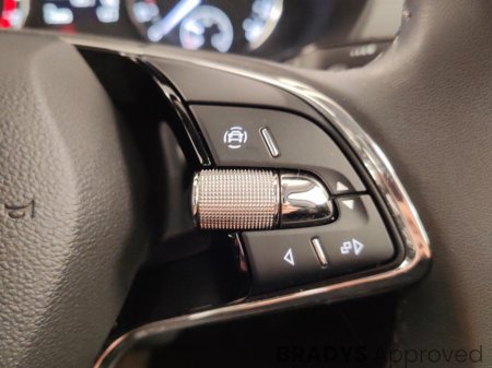 2023 Skoda Octavia - photo 25