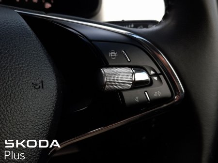 2024 Skoda Kodiaq - photo 31