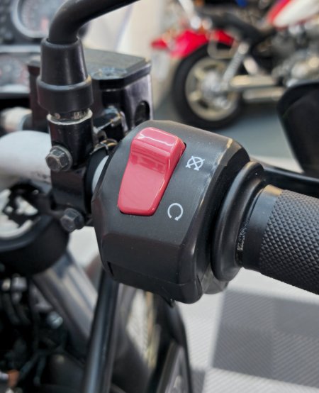 2021 ROYAL ENFIELD Himalayan - photo 12