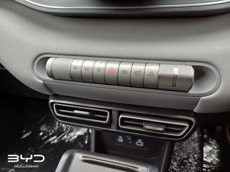 2026 BYD DOLPHIN SURF - photo 22