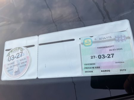 2019 Skoda Karoq - photo 27