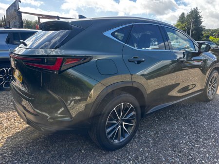 2023 Lexus NX - photo 3