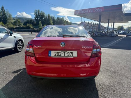 2020 Skoda Octavia - photo 4