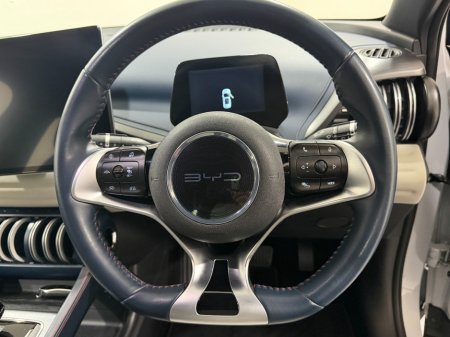 2024 BYD ATTO 3 - photo 13