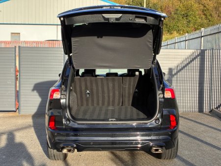 2023 Ford Kuga - photo 6