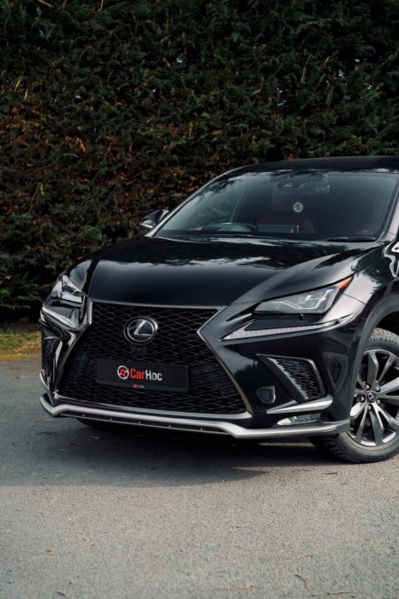 2019 Lexus NX - photo 8