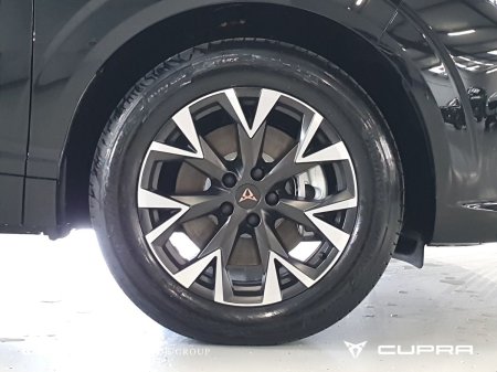 2026 Cupra Terramar - photo 7