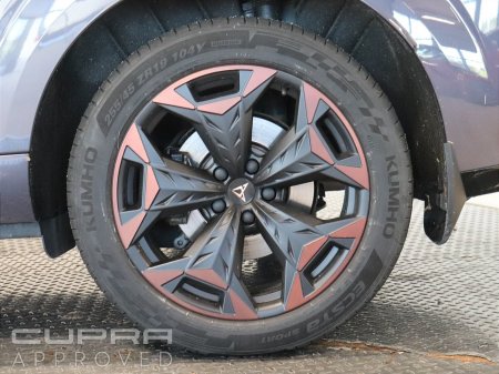 2026 Cupra Terramar - photo 6