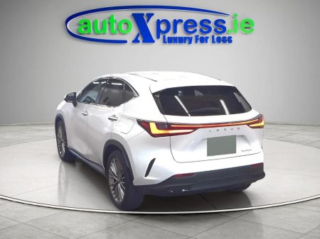 2023 Lexus NX - photo 3