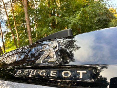 2019 Peugeot 3008 - photo 25