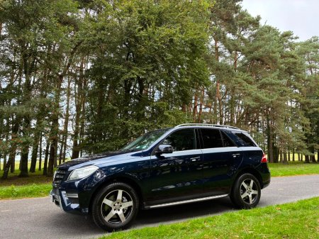 2013 Mercedes-Benz M-Class - photo 3