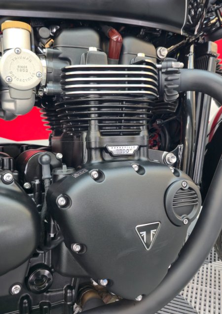2023 Triumph Bonneville - photo 7