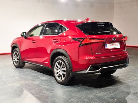 2019 Lexus NX - photo 6