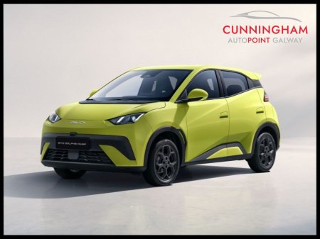 2026 BYD DOLPHIN SURF - photo 6