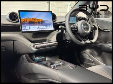 2026 BYD DOLPHIN - photo 9
