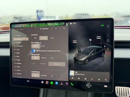 2024 Tesla Model 3 - photo 34