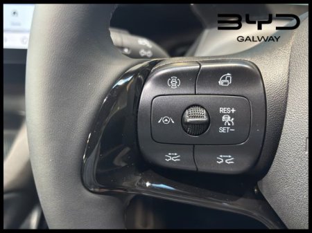 2026 BYD DOLPHIN - photo 19
