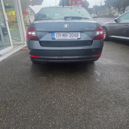 2017 Skoda Octavia - photo 7