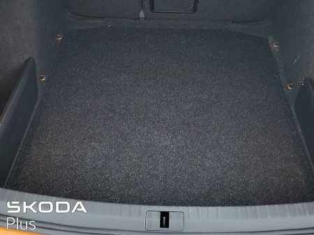 2023 Skoda Octavia - photo 10