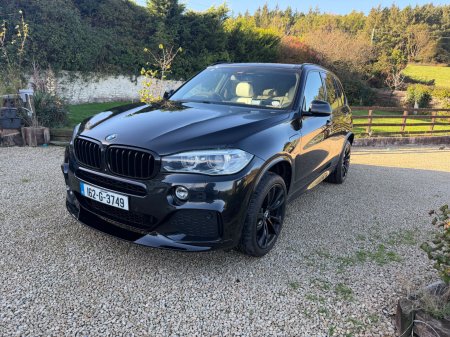 2016 BMW X5 - photo 2