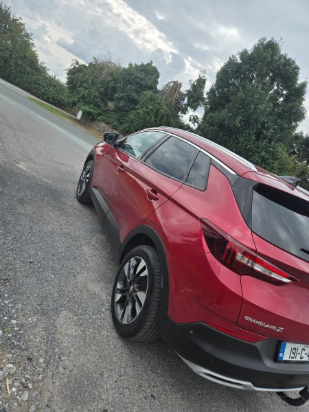 2019 Opel Grandland X - photo 7