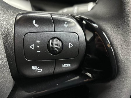 2025 BYD DOLPHIN - photo 25