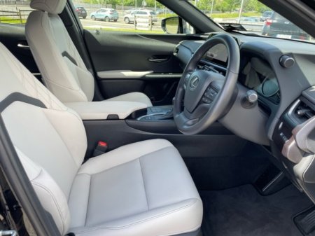 2024 Lexus UX - photo 6