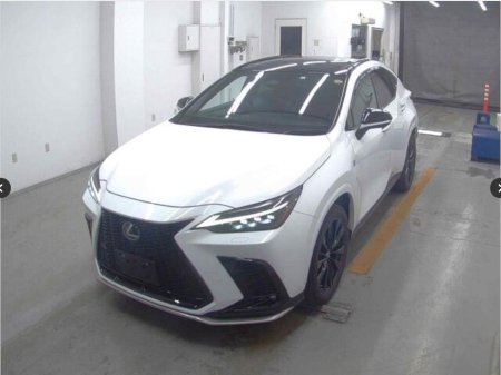 2023 Lexus NX - photo 4