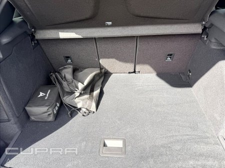 2026 Cupra Terramar - photo 11