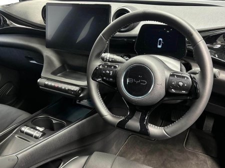 2025 BYD DOLPHIN - photo 8