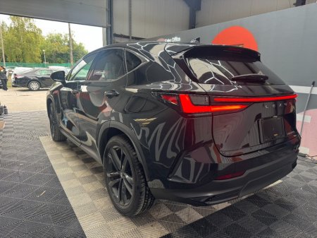 2023 Lexus NX - photo 5
