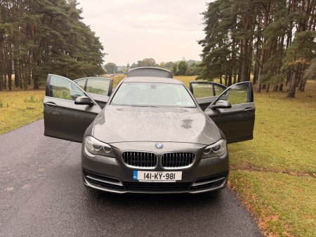 2014 BMW 5-Series - photo 46